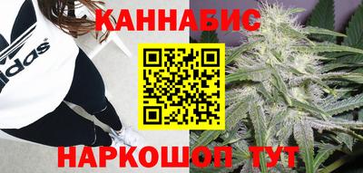 шишки Ставрополь