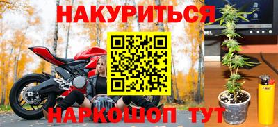 шишки Ставрополь