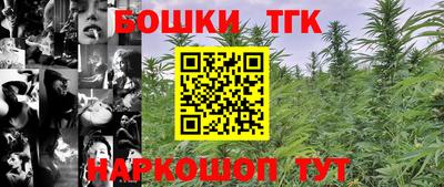 шишки Ставрополь
