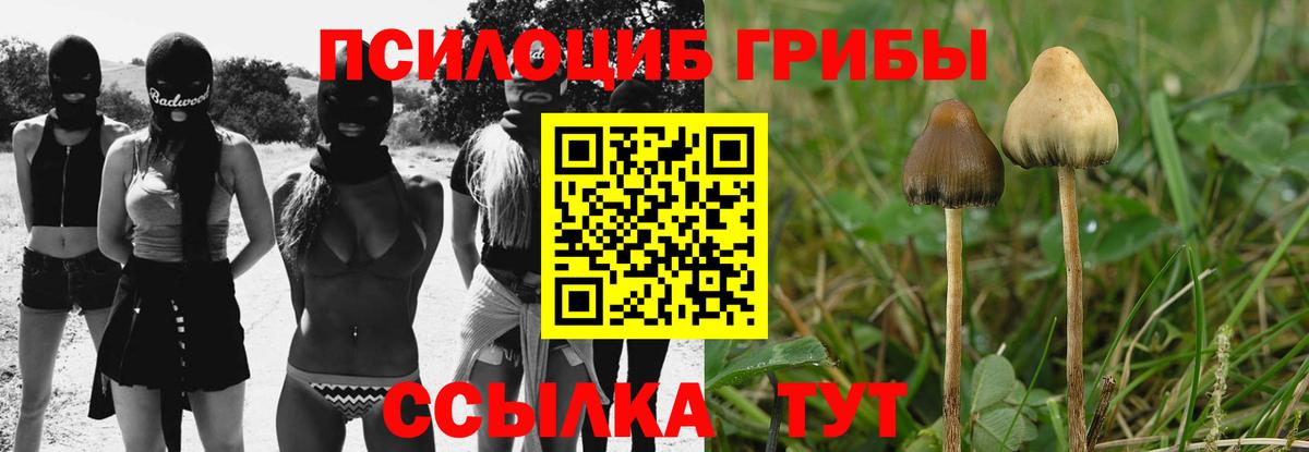 Галлюциногенные грибы ЛСД Омск